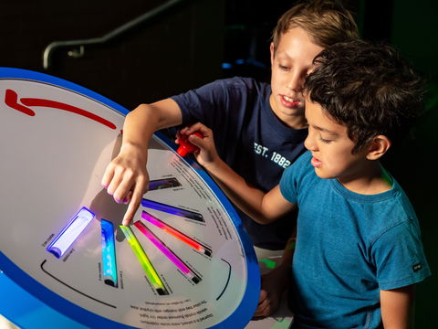 Colour: See The World In A New Light - Tourism Gold Coast 2