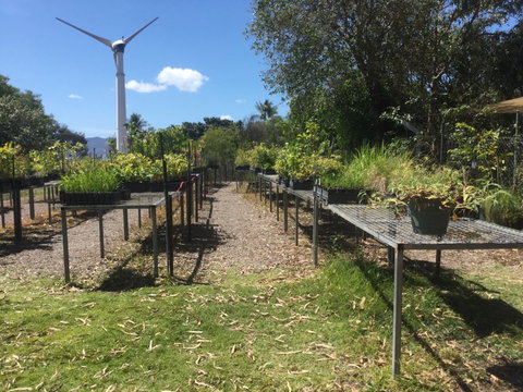 Conservation Volunteers Australia Townsville - Ocean View Nursery - Tourism Gold Coast 0