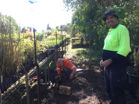 Conservation Volunteers Australia Townsville - Ocean View Nursery - Tourism Gold Coast 1