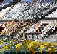 Daffodils at Rydal - Tourism Gold Coast