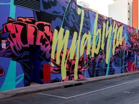 Darwin Street Art Festival - Tourism Gold Coast 1