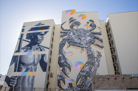 Darwin Street Art Festival - Tourism Gold Coast 2