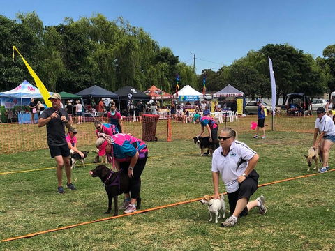 Dogs In The Park NSW St Ives - Tourism Gold Coast 0