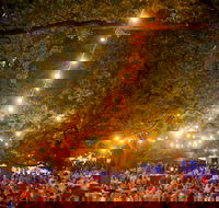 Festivale - Tourism Gold Coast