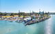 Fred Williams Aquatic Festival - thumb 0