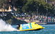 Fred Williams Aquatic Festival - thumb 1