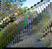Get Back to Nature these July School Holidays - Tourism Gold Coast