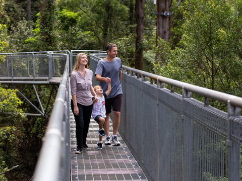Get Back To Nature These July School Holidays! - Tourism Gold Coast 1