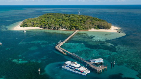 Great Adventures Green Island Ocean Swim - Tourism Gold Coast 0