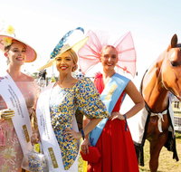 Great Northern Darwin Cup Carnival - Tourism Gold Coast