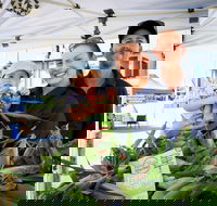 Greater Whitsunday Farmers Markets - Tourism Gold Coast