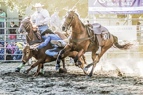 Gundagai Rodeo - Tourism Gold Coast 0