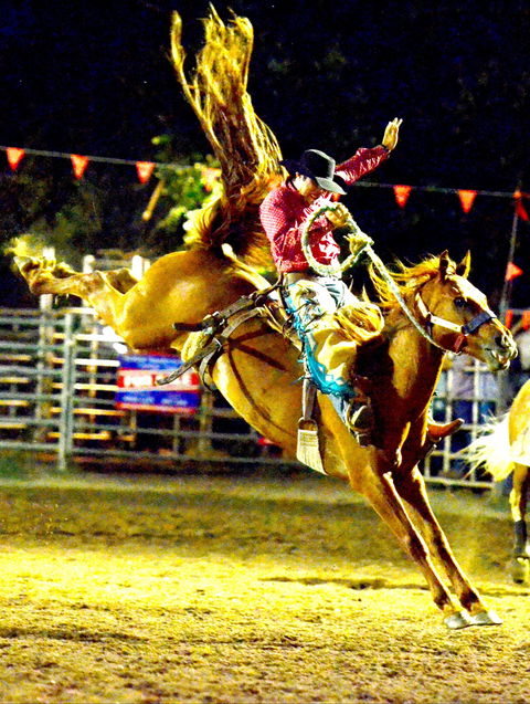 Gundagai Rodeo - Tourism Gold Coast 1