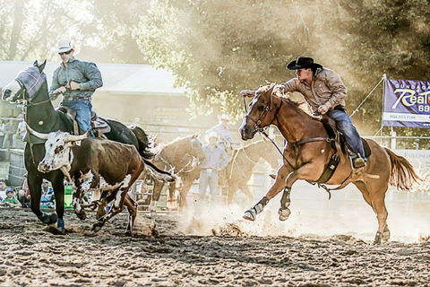 Gundagai Rodeo - Tourism Gold Coast 2