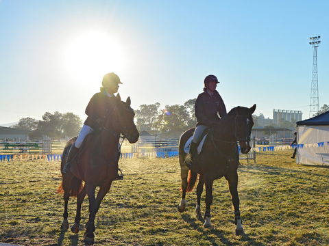 Gunnedah Showjumping Festival - Tourism Gold Coast 0