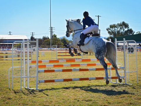 Gunnedah Showjumping Festival - Tourism Gold Coast 1