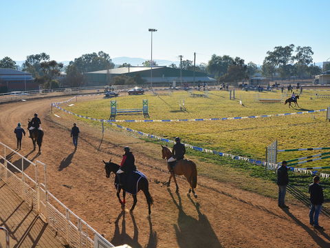 Gunnedah Showjumping Festival - Tourism Gold Coast 2