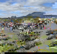 Hobart Showground Sunday Market - Weekly - Tourism Gold Coast
