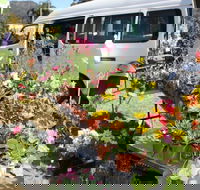 Johns River Country Markets - Tourism Gold Coast