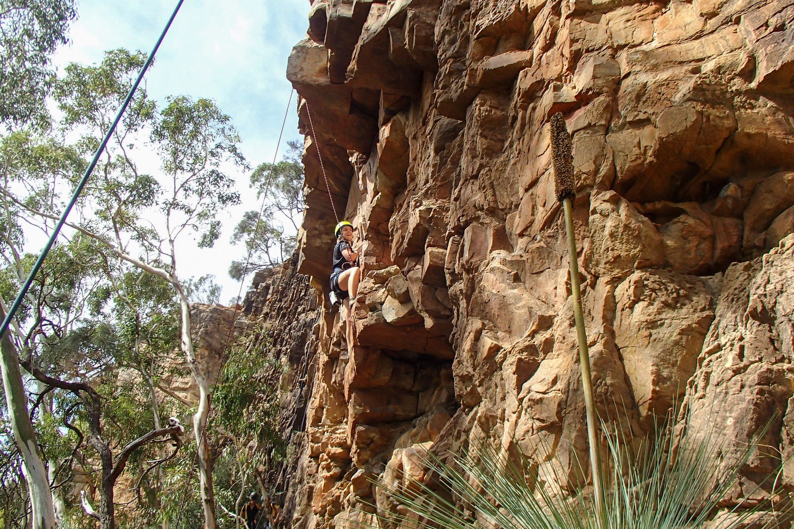 Woodforde SA Tourism Gold Coast