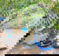 Jungle Love Festival - Tourism Gold Coast