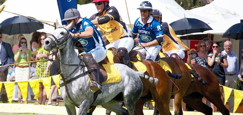 Land Rover Polo In The City Brisbane - Tourism Gold Coast 0