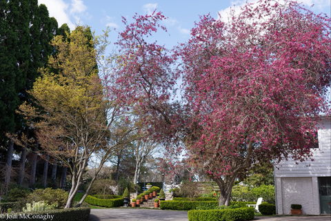 Leura Gardens Festival - Cancelled - Tourism Gold Coast 0