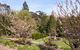 Leura Gardens Festival - Cancelled - thumb 2