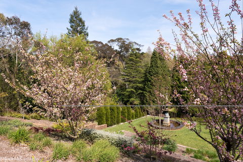 Leura Gardens Festival - Cancelled - Tourism Gold Coast 2