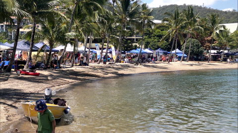 Lions Airlie Beach Community Markets - Tourism Gold Coast 0