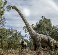 Lost Sanctuary at Healesville Sanctuary - Tourism Gold Coast