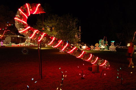 Loxton Christmas Lights Festival - Tourism Gold Coast 2