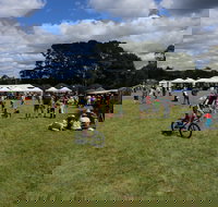 Majors Creek Festival - Tourism Gold Coast