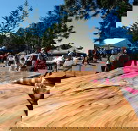 Maleny Wood Expo From Seed to Fine Furniture - Tourism Gold Coast