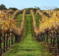 Miners Ridge Wine Tasting - Tourism Gold Coast