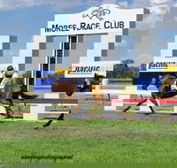 Moree Race Club TAB Race Day - Tourism Gold Coast