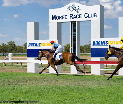 Moree Race Club TAB Race Day - Tourism Gold Coast 0