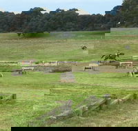 Mount Gambier and District Pony Club Horse Trials 2020 - Tourism Gold Coast