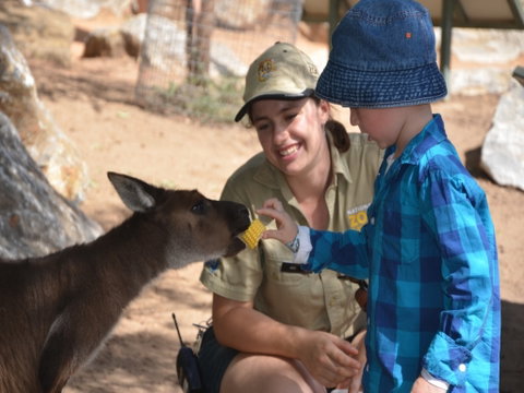 Mums And Cubs! And Dads Too! - Tourism Gold Coast 0
