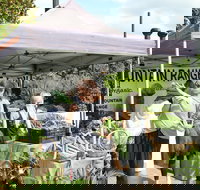 Nan Tien Health and Wellbeing Market - Tourism Gold Coast