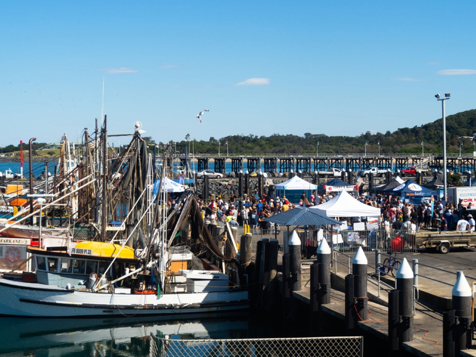 Coffs Harbour NSW Tourism Gold Coast