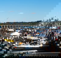 Ocean Harvest Festival - Tourism Gold Coast