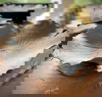 Online live streaming class DIY Clay Hand Building for Beginners - Tourism Gold Coast