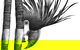 Open Studio's Highlands - Darren Gilbert - thumb 2