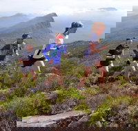 Peaks and Trails Run - Tourism Gold Coast