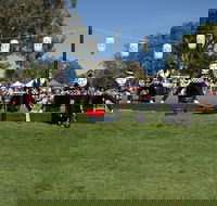 Sakura Matsuri  - Cherry Blossom Festival - in doubt due to Covid-19 - Tourism Gold Coast