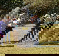 Sculpture for Clyde - Outdoor Exhibition - Tourism Gold Coast