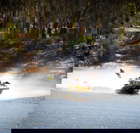 Southern 80 - Tourism Gold Coast