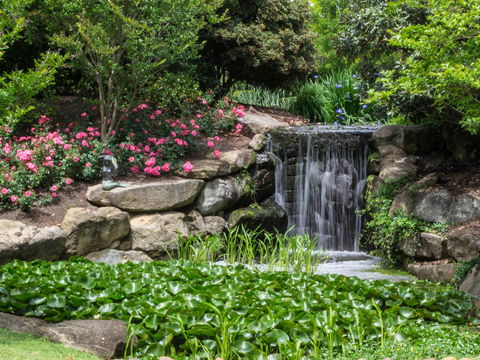 Spring Time At Hunter Valley Gardens - Tourism Gold Coast 1