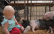 The Gunnedah Show - thumb 1